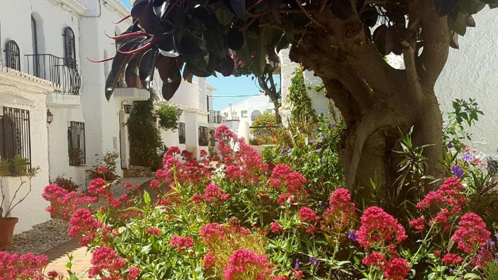 Apartamento Capistrano Village Nerja Eksteriør billede